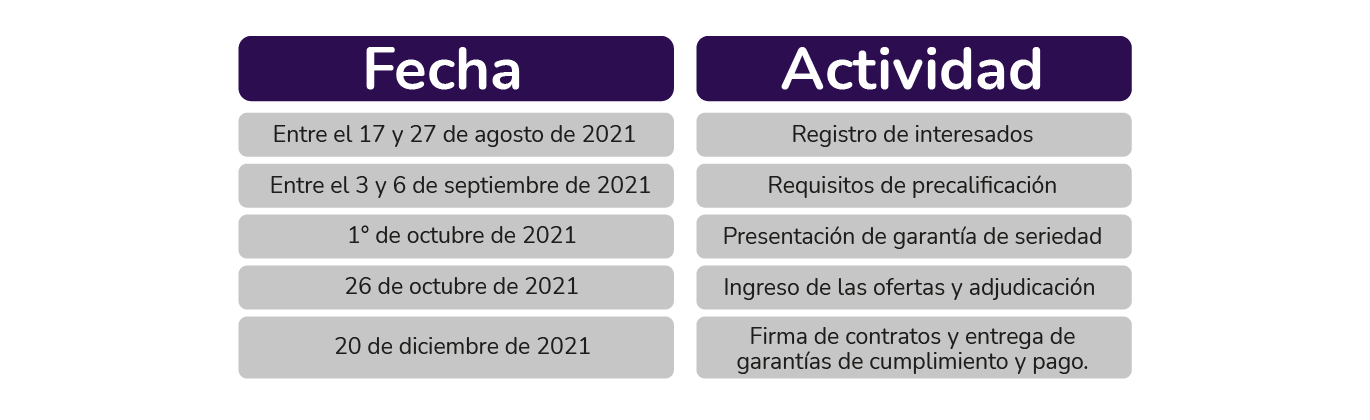 XM-Fechas de subasta de energías renovables