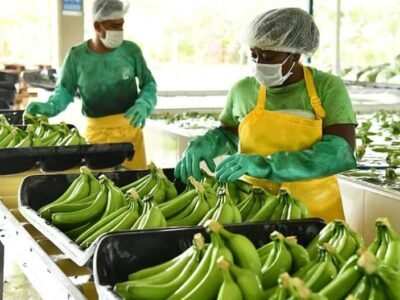 Banano-mujeryhombre