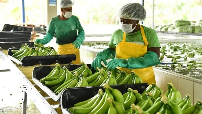 Banano-mujeryhombre