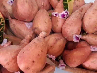 Batata