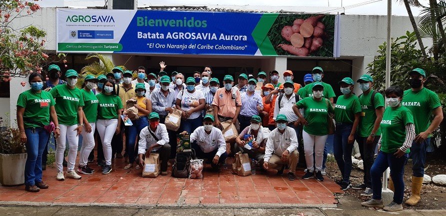 Batata-gruporeunido (2)