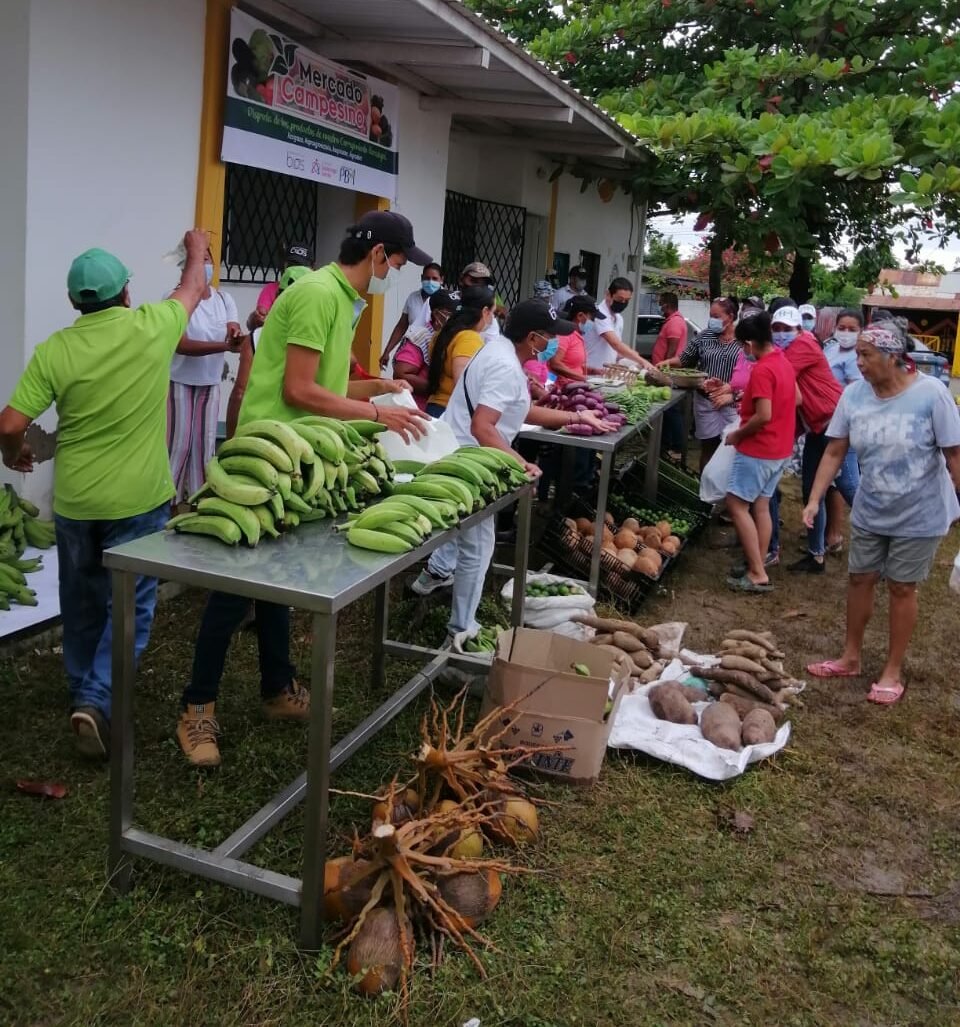 Berástegui-MercadoCampesino2