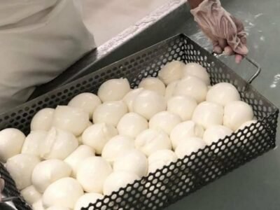 Boubalos-planetarica-quesomozarellaencanasta