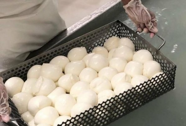 Boubalos-planetarica-quesomozarellaencanasta