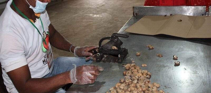 Chinú-marañoneros (117)