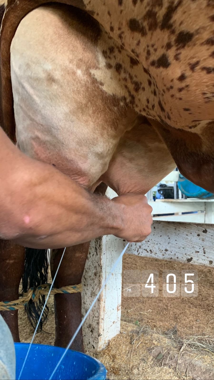 Concursolechero2021-CCLC