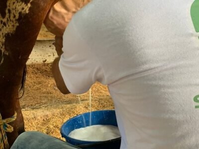 ConcursolecheroCCLC-2021 (3)