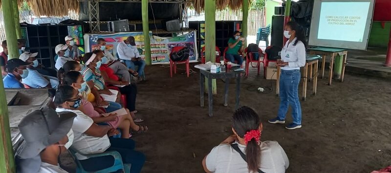 Fedearroz-Chiquí-SanBernardo