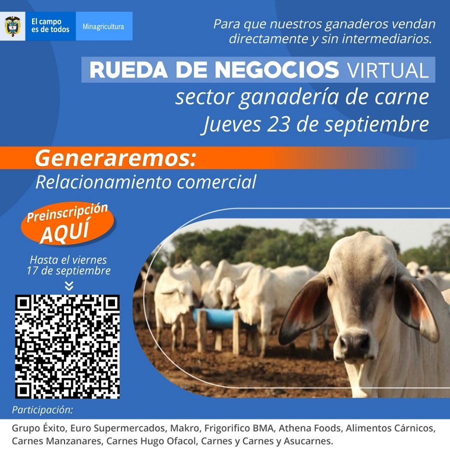 Rueda de negocios virtual para venta de ganado gordo sin intermediarios