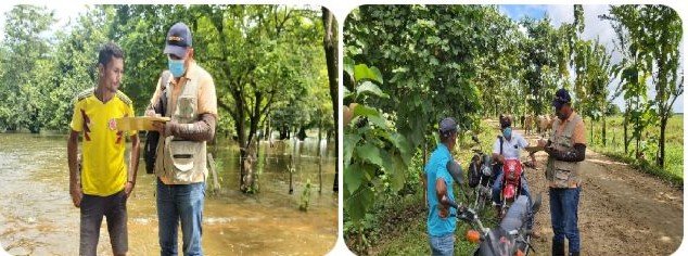 ICA-seguimiento-a-animales-evacuados1 (2)