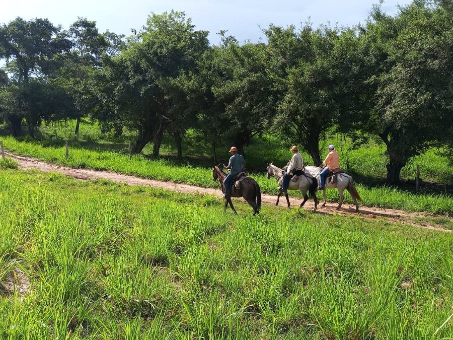 Paquetours-cabalgata
