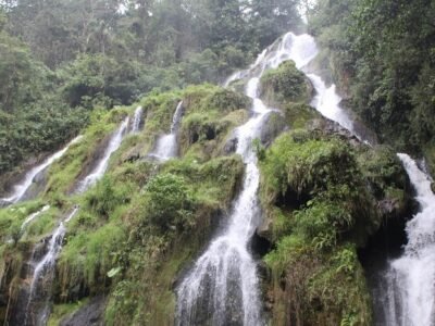 Pereira-hoteles-Bioparque-TermalesSantaRosadeCabal (563)