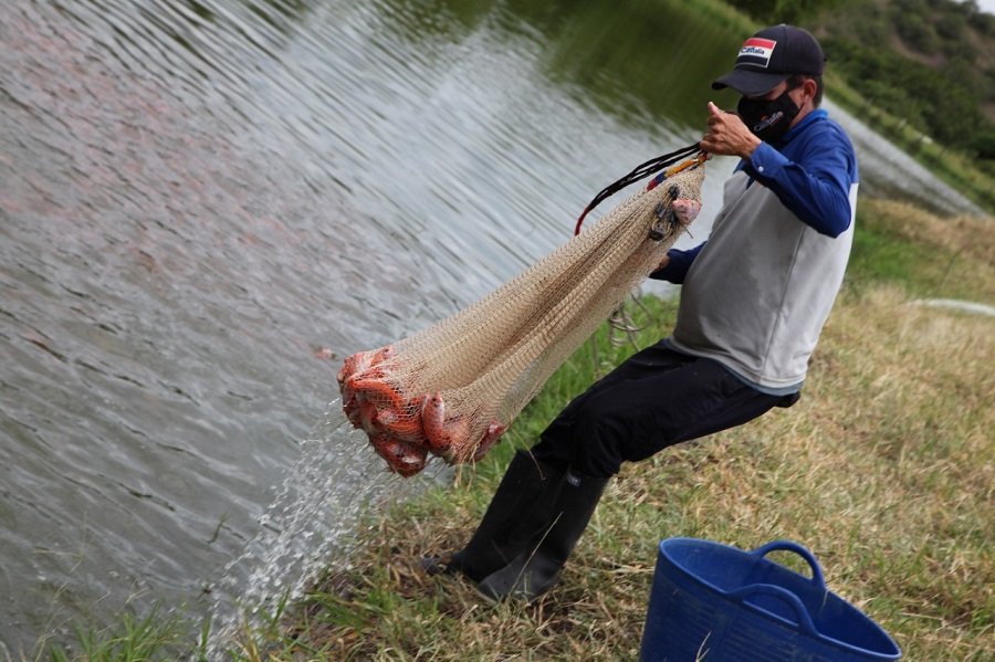 Pescado-Fedeacua-pescador