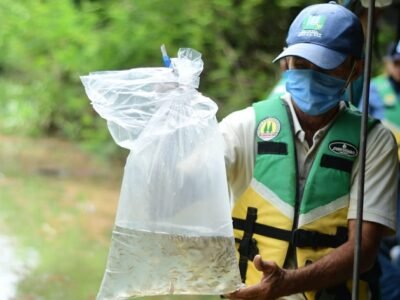 Urrá-siembradealevinos