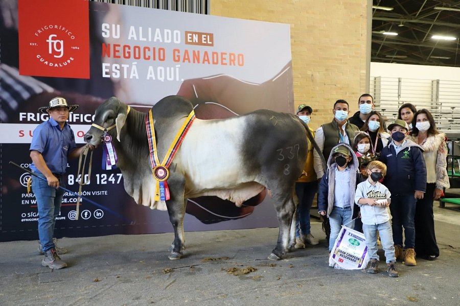 Agroexpo-CampeónAdultoyGranCampeónReservado-Guzerá