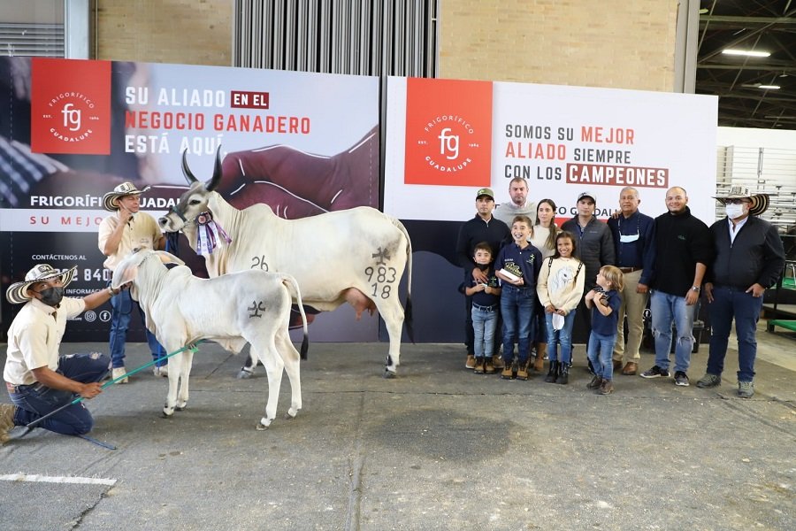 Agroexpo-CampeonaIntermedia-Guzerá