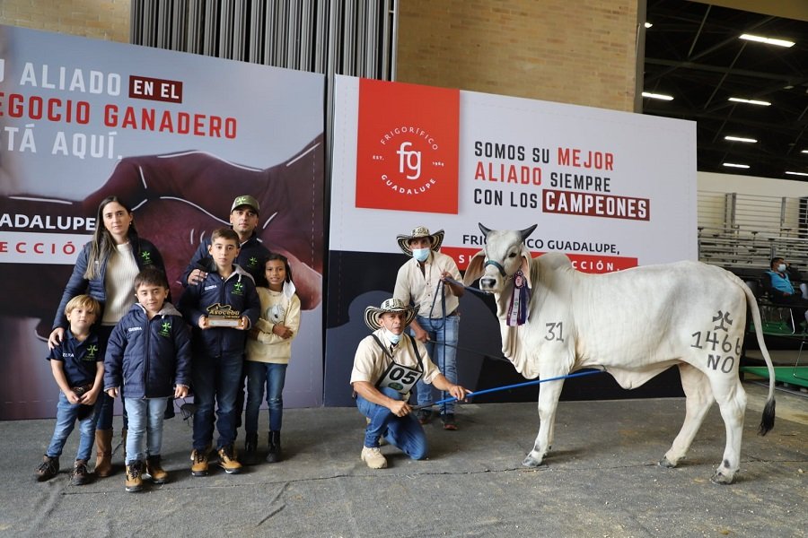 Agroexpo-CampeonaMenor-Guzerá