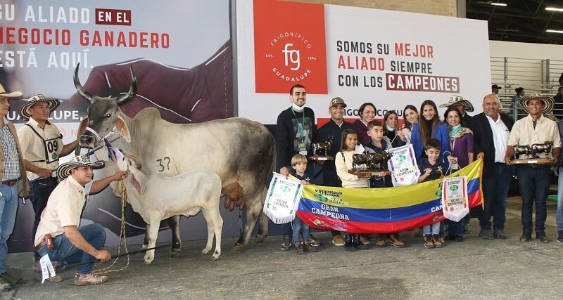 Agroexpo-GranCampeona-Guzerá (2)