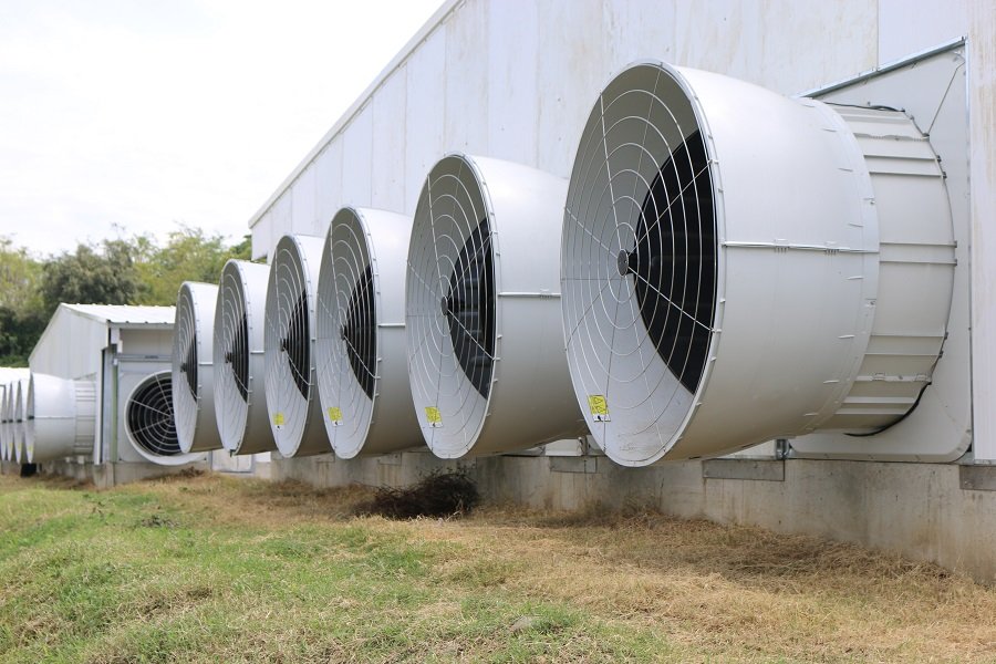 Avícola-Cargill-Tecnología de ambiente controlado para temperatura
