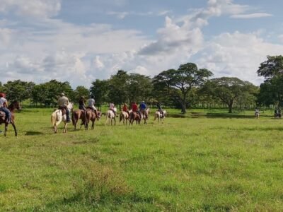 Cabalgatacampestre (2)