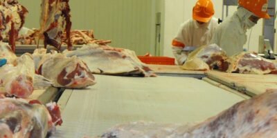 Carne-desposte1 (2)