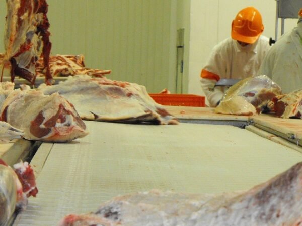 Carne-desposte1 (2)