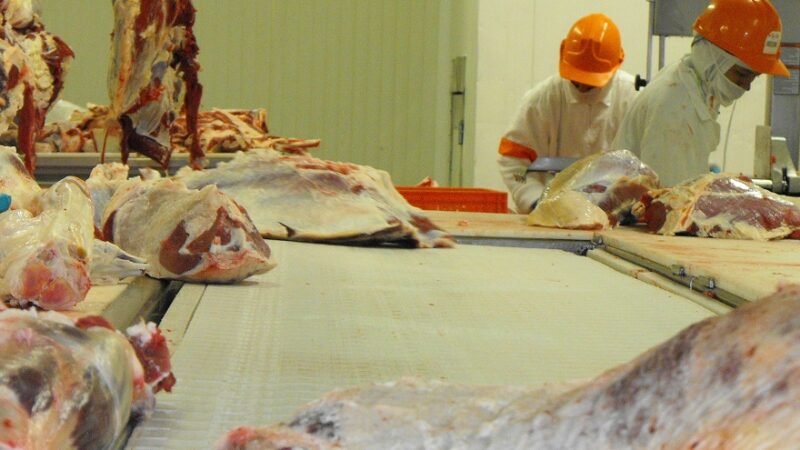 Carne-desposte1 (2)