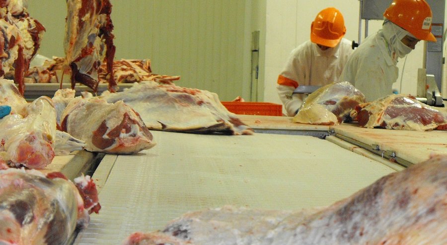 Carne-desposte1 (2)