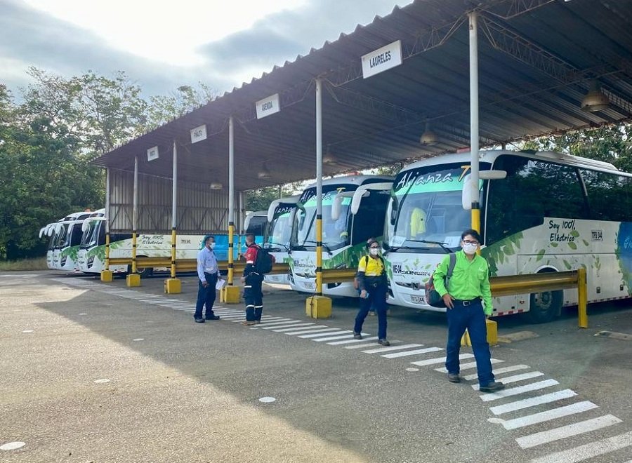 CerroMatoso-Buses eléctricos