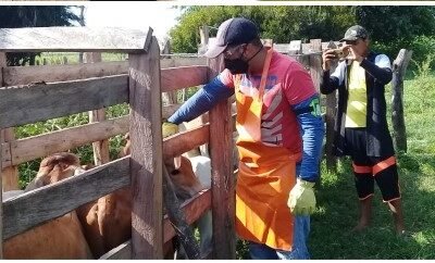 ICA-prevencion-rabia-silvestre (2)