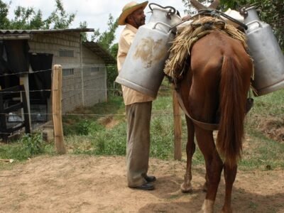 Lecheencaballo-productor (2)