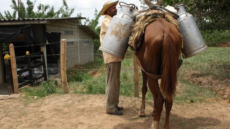 Lecheencaballo-productor (2)