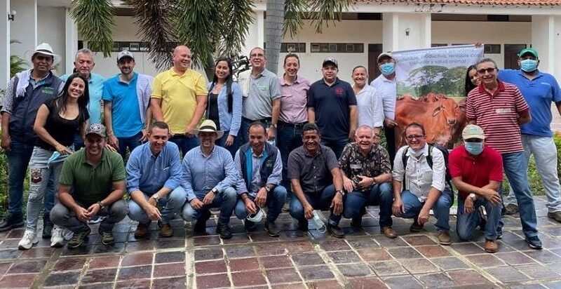 Leonardo-bienestaranimal-1-1