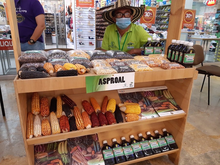 Maícescriollos-estandenlaFeriadeNegociosVerdes