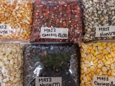 Maicescriollos-variasvariedades