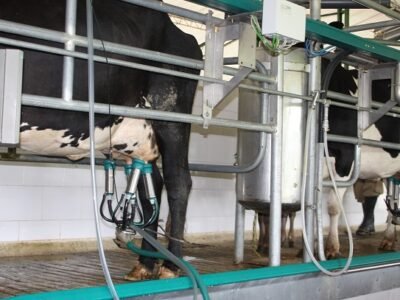 Ordeñomecánico 032 (2)