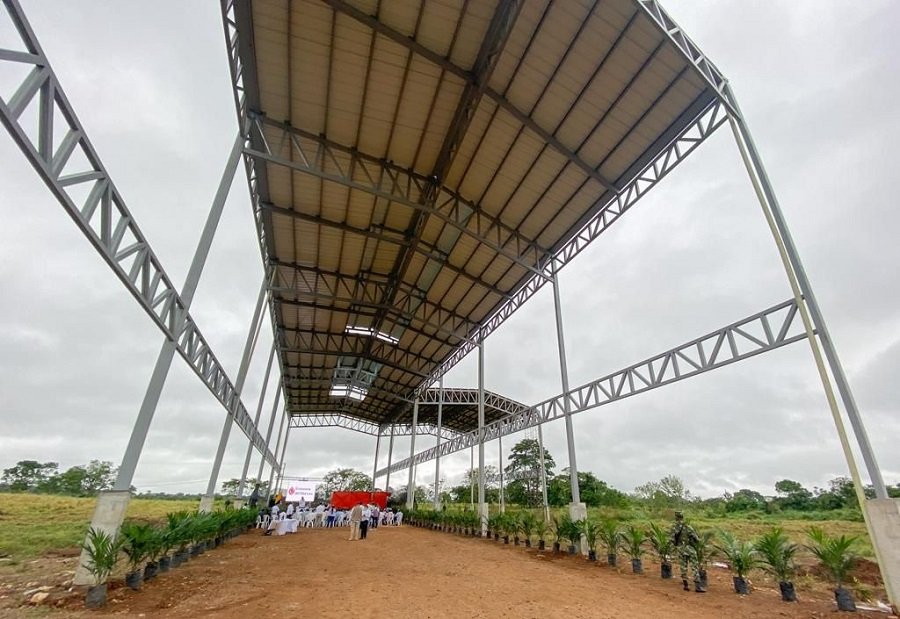 Palma-plantaextractora-estructura