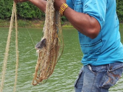 Pesca experimental embalse 2012 (3)-Paint