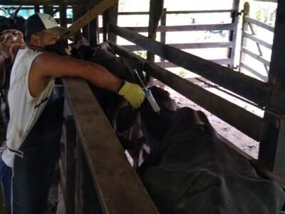 VacunaciónAntiaftosa2-2021 (2)