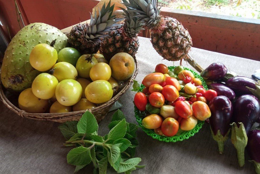 Adproas-variosproductos (3)