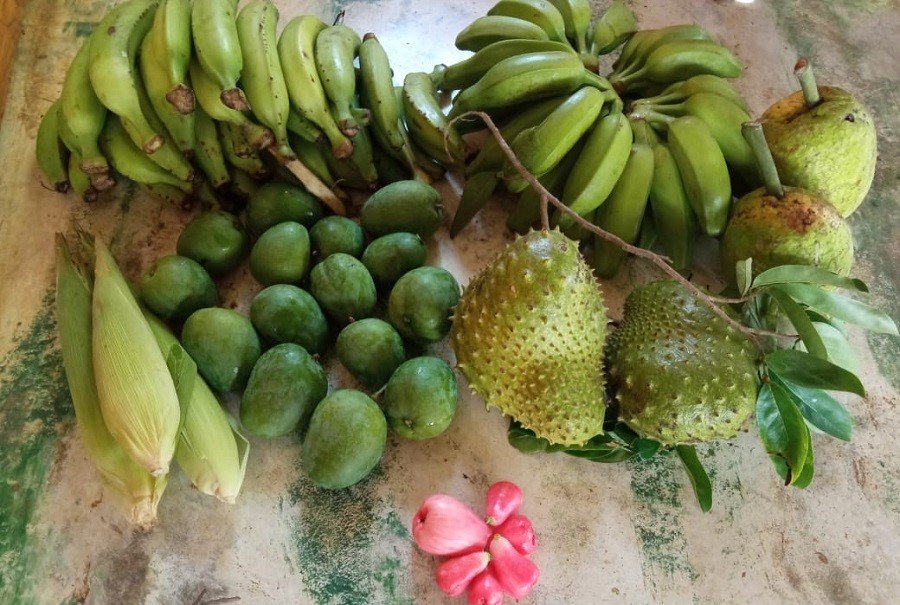 Adproas-variosproductos-frutas (2)