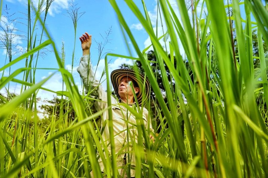 Amazonía-Fedegán-Ganaderíasostenible-Lafaurie