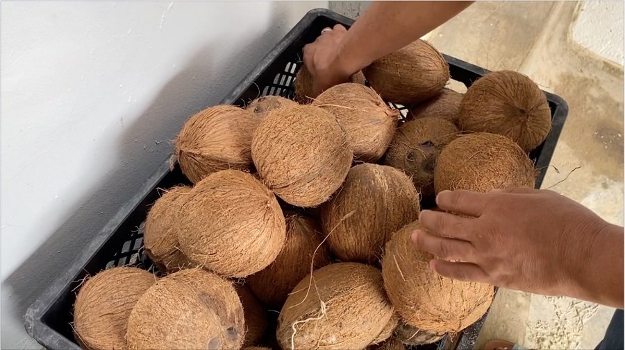 Asoagro-cococomprado