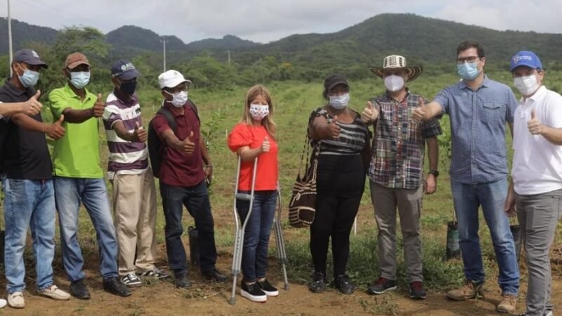 Atlántico-créditosapalmerosylimoneros