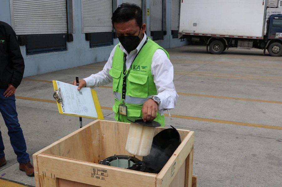 Brasil-exportacióndegenética