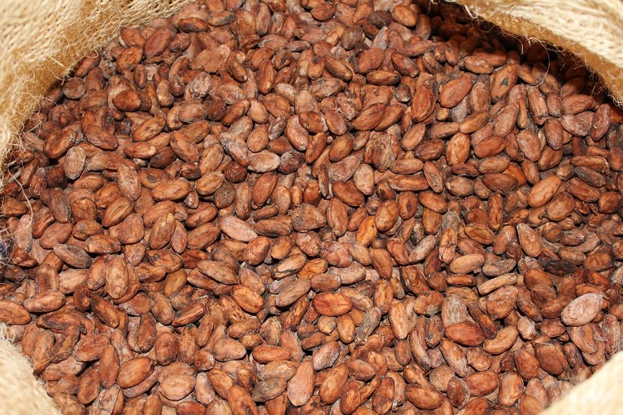 Cacaoensaco