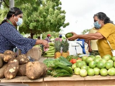 Canalete-MercadoCampesino (2)