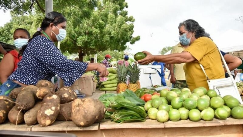 Canalete-MercadoCampesino (2)