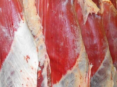 Carneencanal-fotovertical (2)