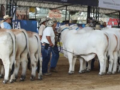 ColiseodeFerias